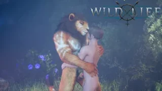 Wild Life - Kral x Max Minigame