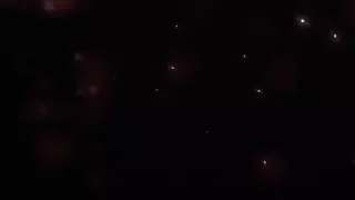 Kunoichi 2 - Beastly Bacchanalia (Bonus Scene) 60fps