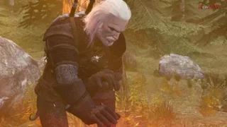 Witcher 3 Triss Geralt Netorare - NeinSFW