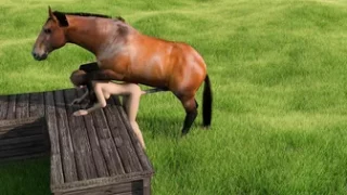 Horse video 70