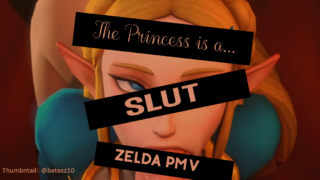 The Princess is a SLUT PMV - Legend of Zelda PMV